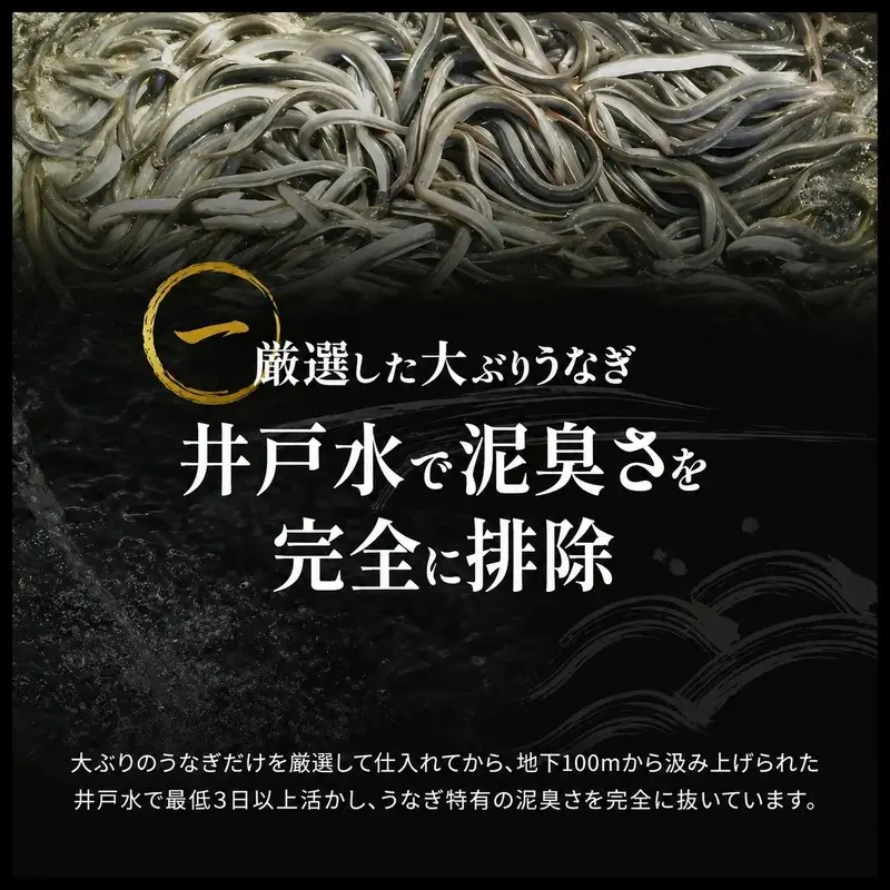 うなぎ 蒲焼 5尾 160g×5 タレ 75ml×2 山椒付 うなぎ