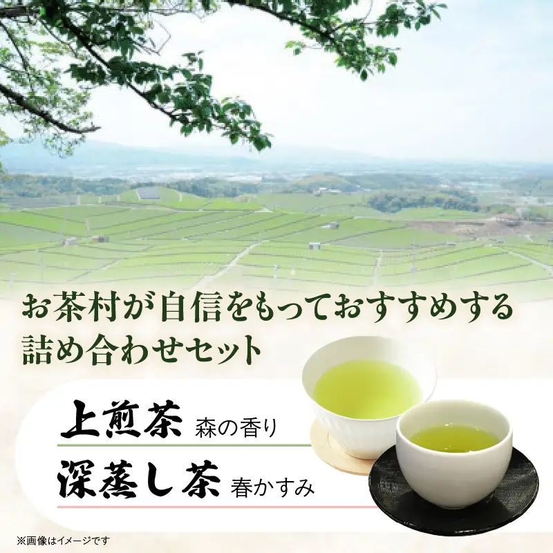 【八女・お茶村】上煎茶《森の香り》と深蒸し茶《春かすみ》のセット　077-002