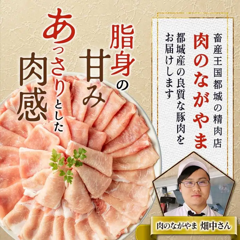 黒豚ロース＆ウデモモ切り落とし2.8kg〔AC-2511〕_(都城市) 豚肉 都城産黒豚ロース肉 500g×2パック ウデモモ切落とし 300g×6パック 計2.8キロ ポーク 冷凍 セット おかず しゃぶしゃぶ 野菜炒め