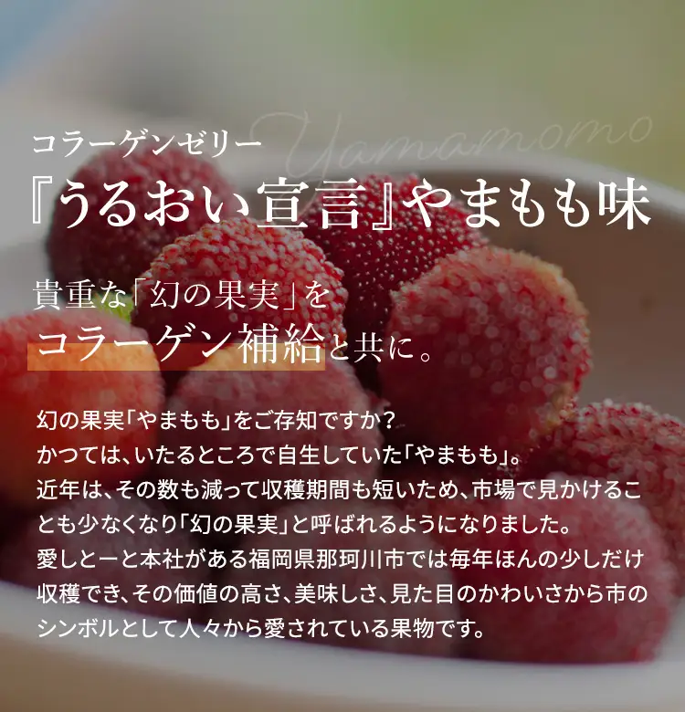 うるおい宣言 やまもも味 １箱 30本入 約1ヶ月分 コラーゲンゼリー 脂質ゼロ スティック
