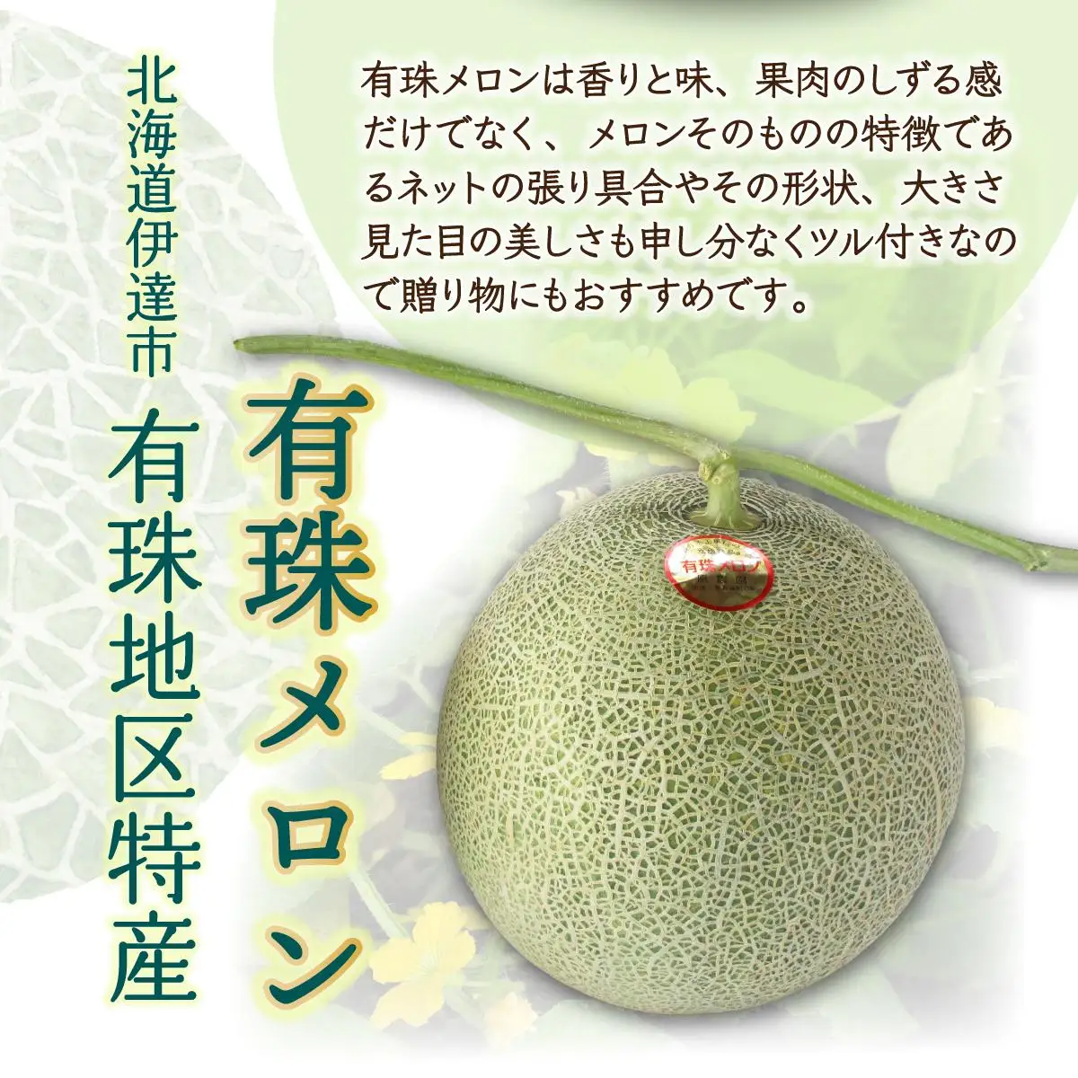 【2027年先行予約】北海道産 有珠メロン 2玉 セット 青肉 Lサイズ 1.6kg以上×2玉【55250476】