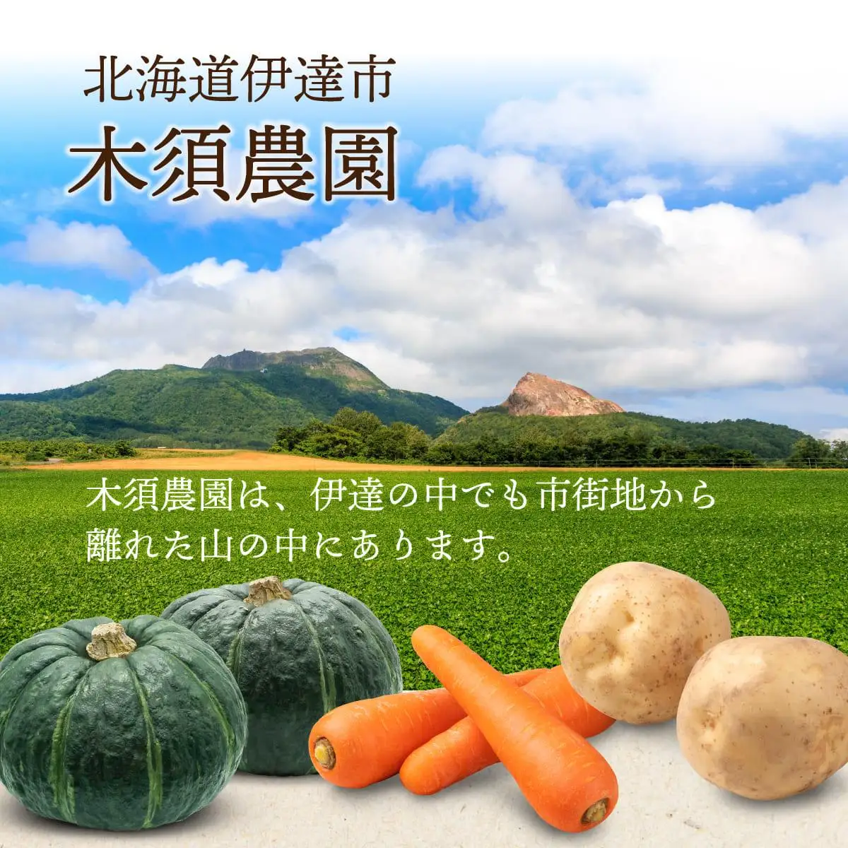 【 2026年 発送 】 先行予約 北海道 ダークホース かぼちゃ 5玉～7玉 約10kg【55250514】