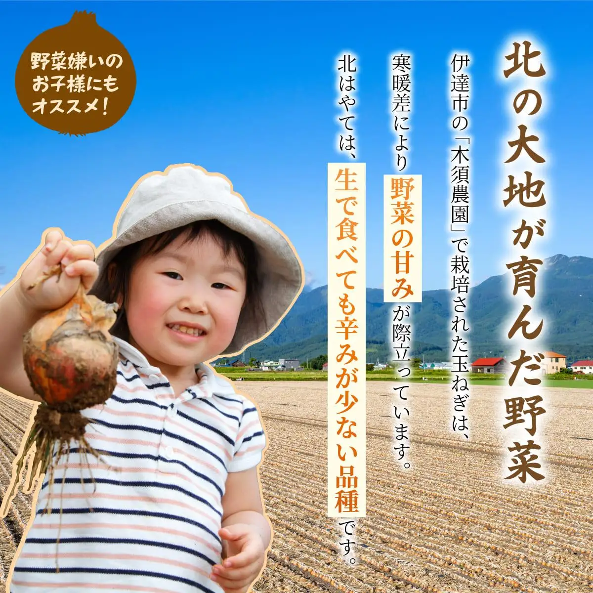 【 2026年 発送 】 先行予約 北海道 玉ねぎ 10kg M-L混合 北はやて【55250515】