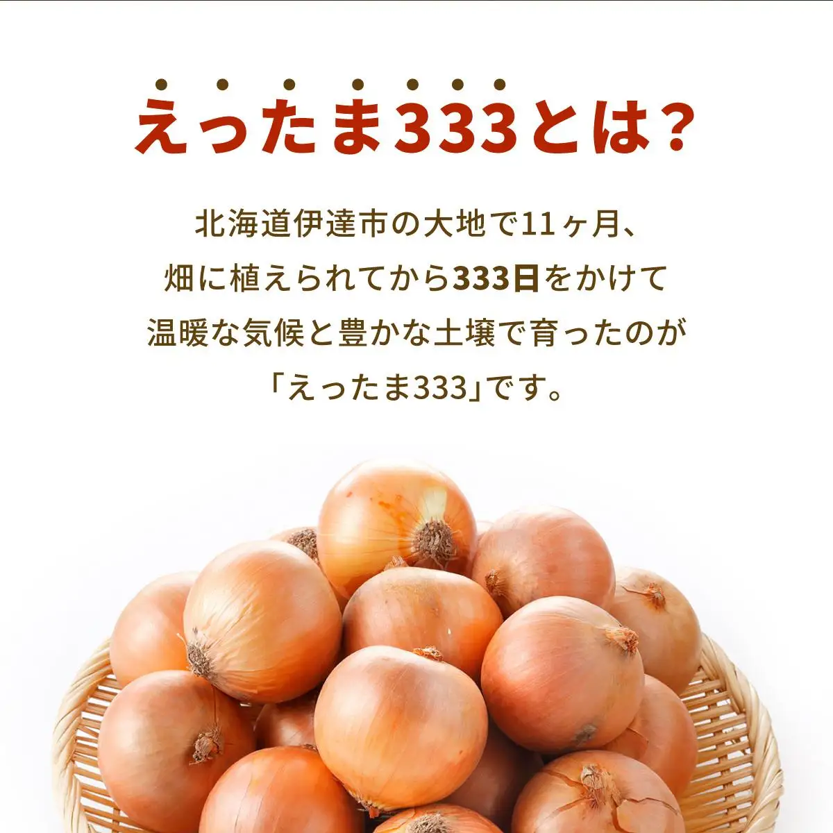 [5525-0654]※ チャリティー返礼品 ※ 伊達産【えったま333】の炒め玉ねぎ ソテードオニオン 200g×10袋（レトルト）