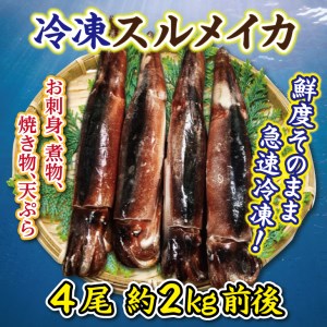 冷凍スルメイカ特大４本（２kg前後）