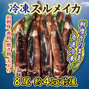 冷凍スルメイカ特大 ８本（約４kg前後）