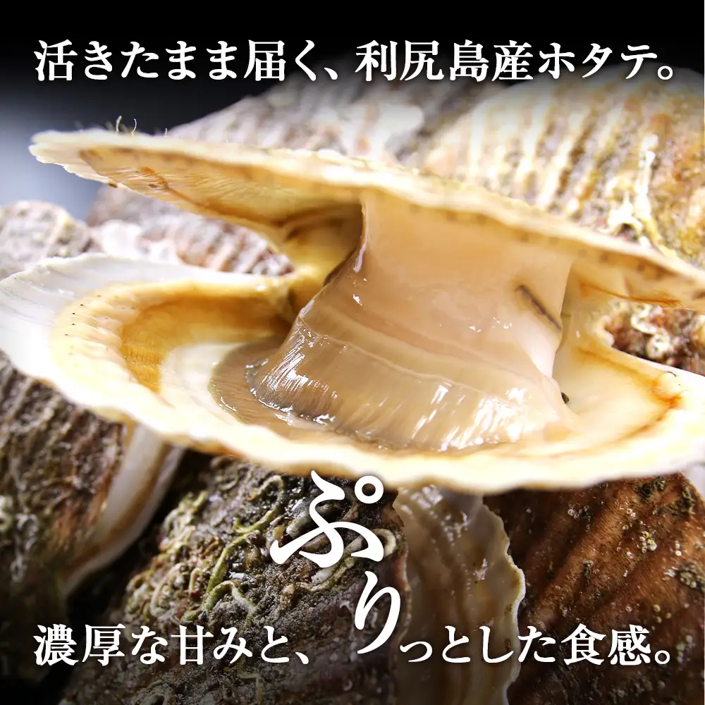 活ホタテ6kg！~2026年9月発送~北海道利尻島から直送！【北勝佐々木】
