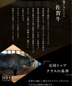 BN103_【只今ご寄附から２カ月程度で発送】佐賀牛100％ハンバーグ130gｘ5個入り