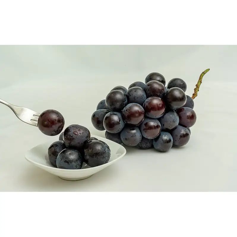 ぶどう 2026年 先行予約 ニュー ピオーネ 2房（合計約940g）化粧箱入り ブドウ 葡萄  岡山県産 国産 フルーツ 果物 ギフト  