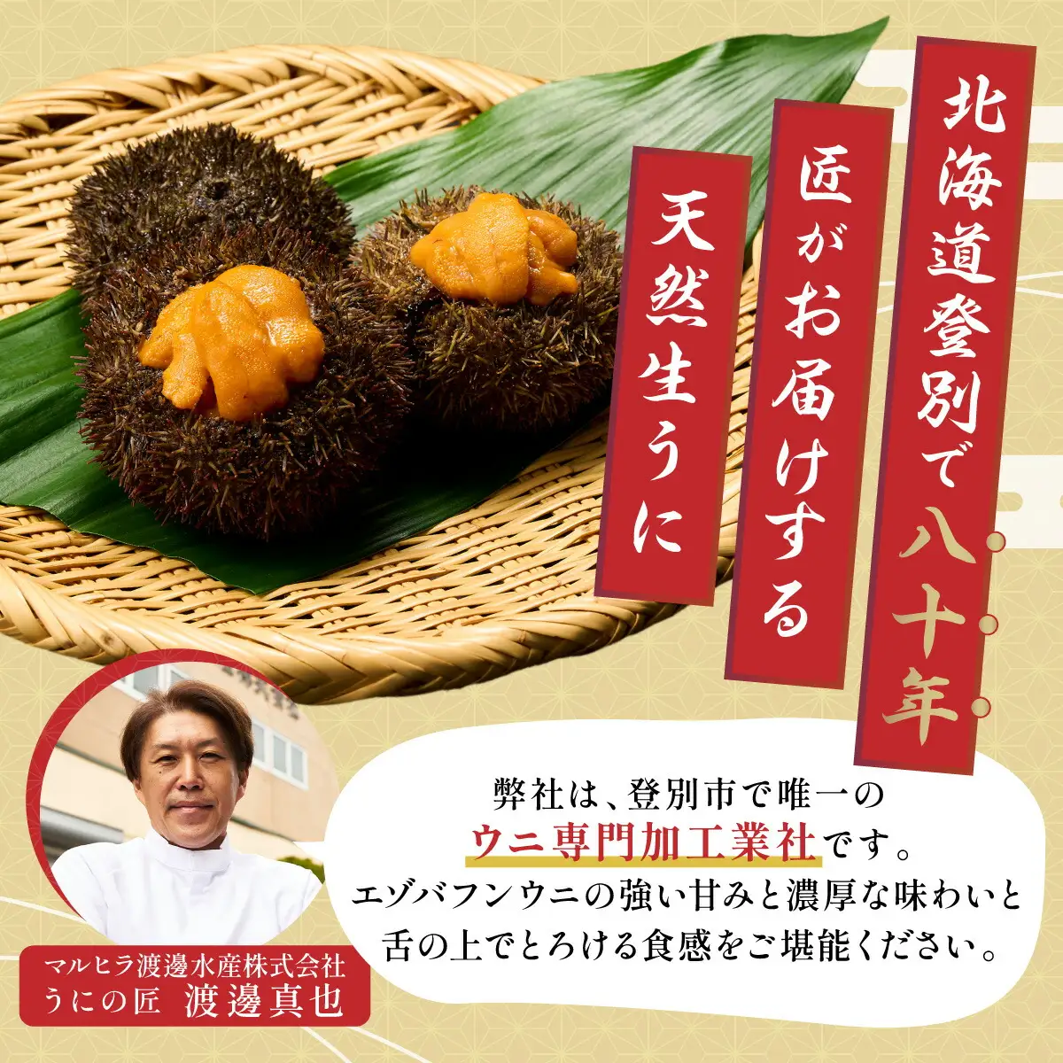 無添加 極上エゾバフンウニ 塩水パック 100g 【mh-0462_B】