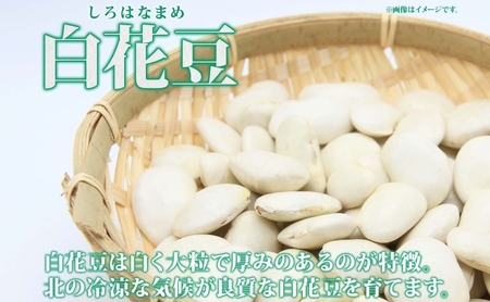 白花豆 北海道 洞爺湖町産 高級菜豆 白花豆【500g×2袋 計1kg】
