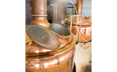 FYN9-485【山形の極み】月山クラフトビール 3種 4本セット (アルト・ピルスナー・ラオホ)地ビール こだわり お酒 山形県 西川町 