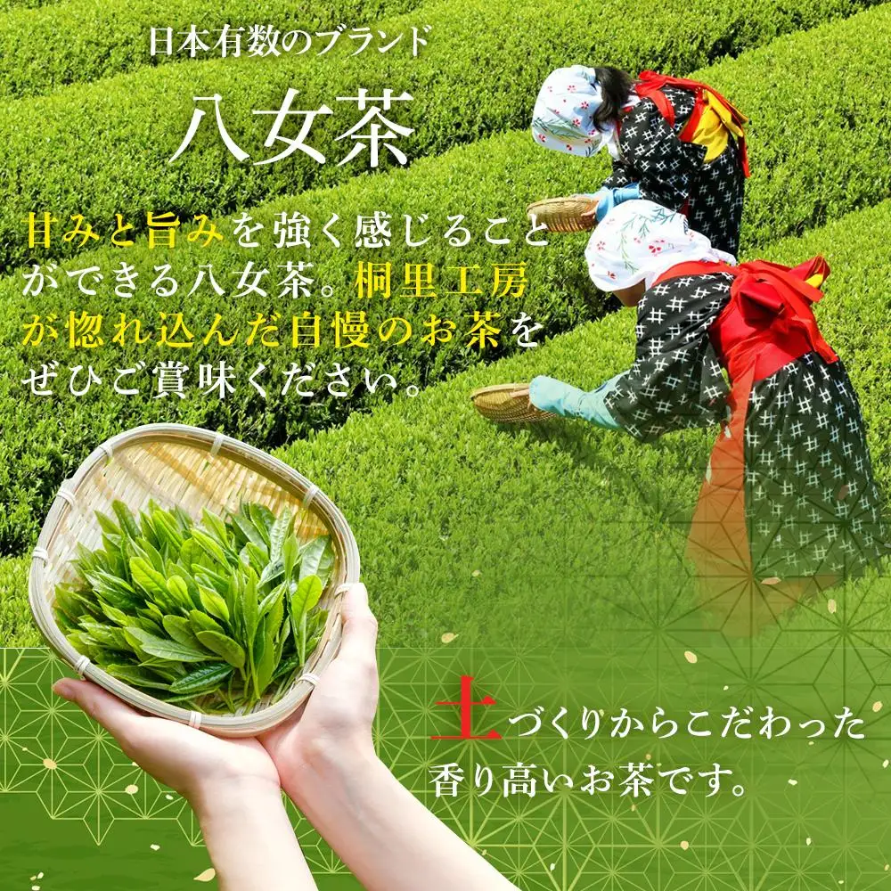 お茶作り名人の無農薬八女茶＜箱入り2本＞【ドイツ開催お茶コンテスト銀賞受賞！】