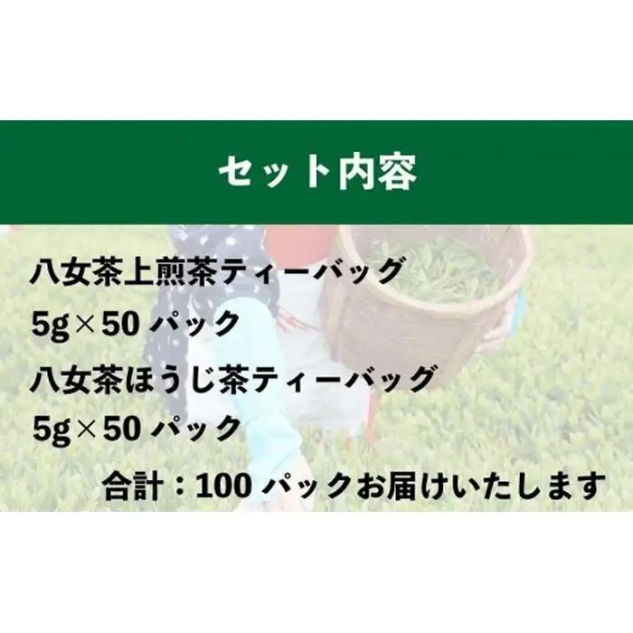 八女上陽の産地直送！ 中島製茶本舗 ほうじ茶＆煎茶ティーバッグ あわせて100パック ( 八女茶 )