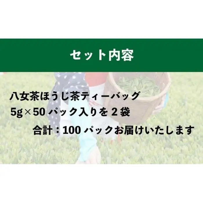 八女上陽の産地直送！ 中島製茶本舗 ほうじ茶ティーバッグ 100パック ( 八女茶 )