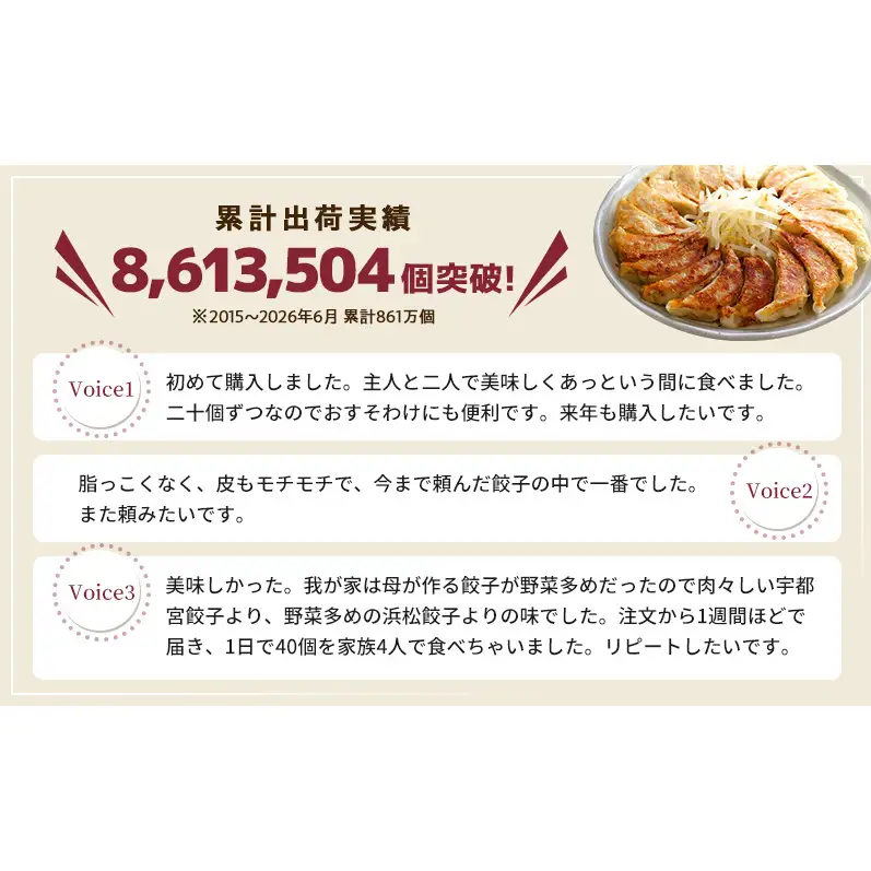餃子 浜松餃子 160個 知久屋 山盛り セット 餃子