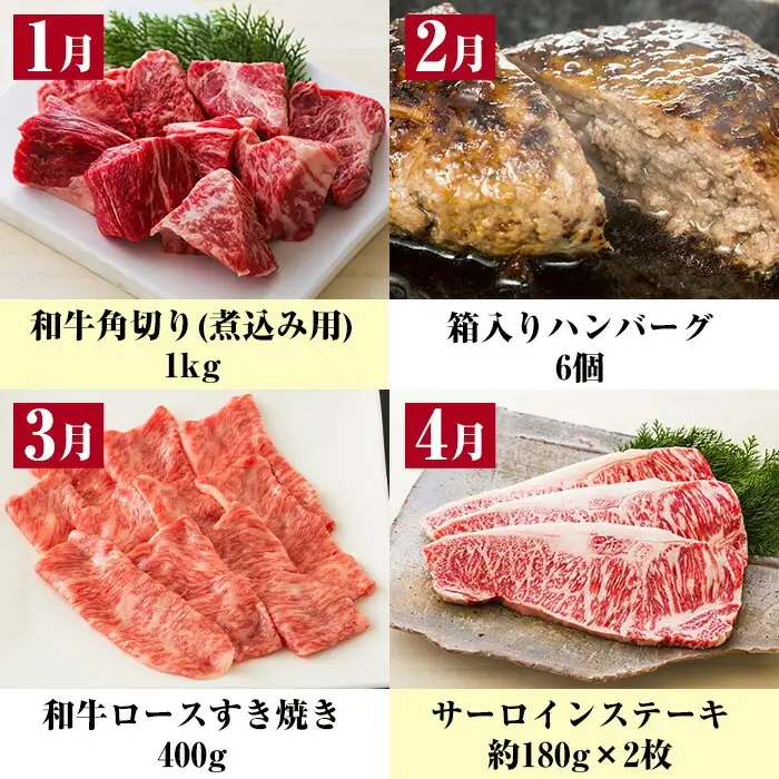 【ふるなびWEEK対象】【12か月定期便】鹿児島県産 黒毛和牛 セット 定期便 12回 黒毛和牛【00-030-13-TKFN】