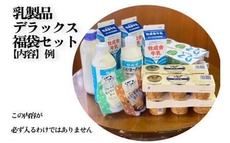 乳製品 福袋 デラックスセット ヨーグルト 牛乳 種類おまかせ 福袋セット DF004