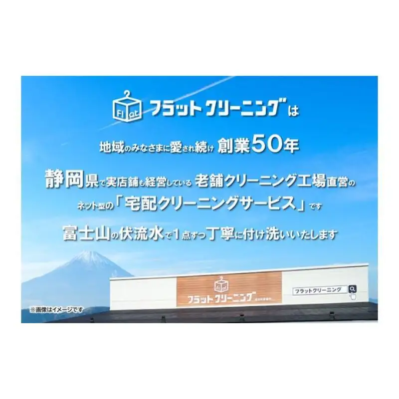 【フラットクリーニング】スピード15点パック 利用券 チケット 衣類 