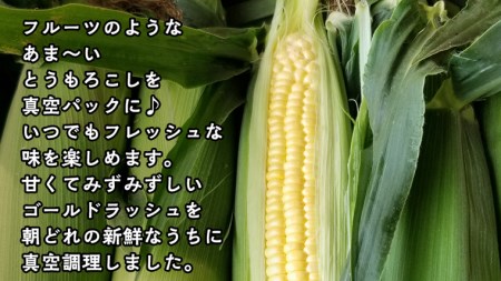 【訳あり】加熱殺菌済み 真空とうもろこし ゴールドラッシュ 約3kg  とうもろこし とうもろこし とうもろこし とうもろこし とうもろこし とうもろこし とうもろこし