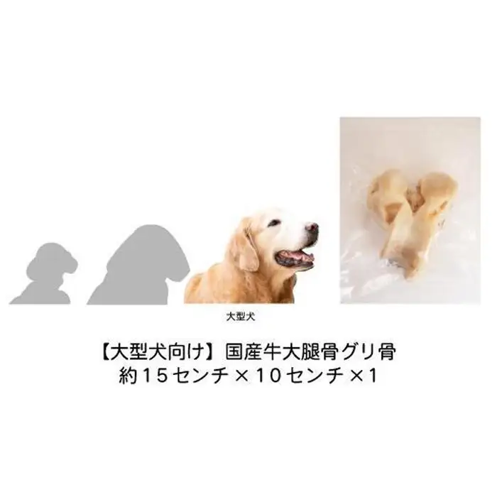 【大型犬向け】国産牛大腿骨グリ骨 Lovelybone