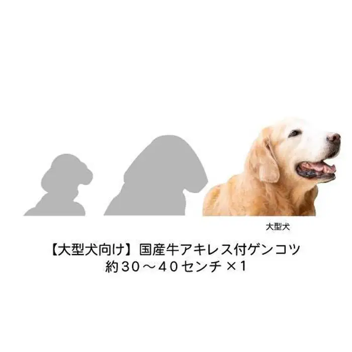 【大型犬向け】国産牛アキレス付ゲンコツ