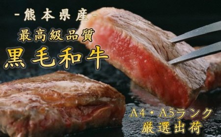 熊本県産 黒毛和牛ヒレステーキ 合計400g(200g×2P) A4A5厳選