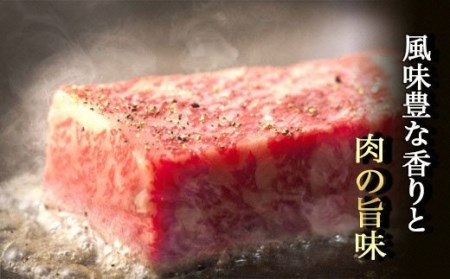 熊本県産 黒毛和牛サーロインステーキ 合計1kg(250g×4P) A4A5厳選