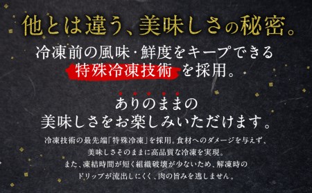 【数量限定】【超希少部位】熊本県産 黒毛和牛 A5ランク 高級 ヒレステーキ シャトーブリアン 100g×5枚セット 計500g