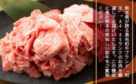 熊本県産 黒毛和牛 和王 切り落し 300g×3 計900g 牛肉