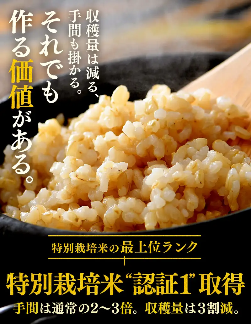 【先行予約】【令和8年産 新米】コシヒカリ 玄米 5kg 特別栽培米 農薬不使用 化学肥料不使用 ／ 残留農薬ゼロ 高品質 鮮度抜群 福井県産 ブランド米 ※2026年9月下旬より順次発送予定 [aw063-a011]