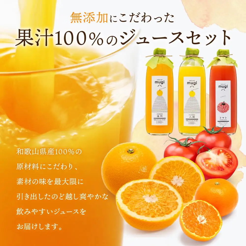 無添加・果汁100％わかやまジュースのじかん　500ｍｌセット