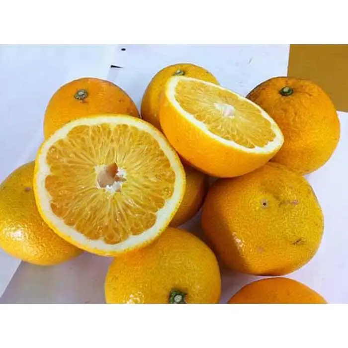 和歌山産 八朔 秀品 10kg【ヤマタ大谷商店】