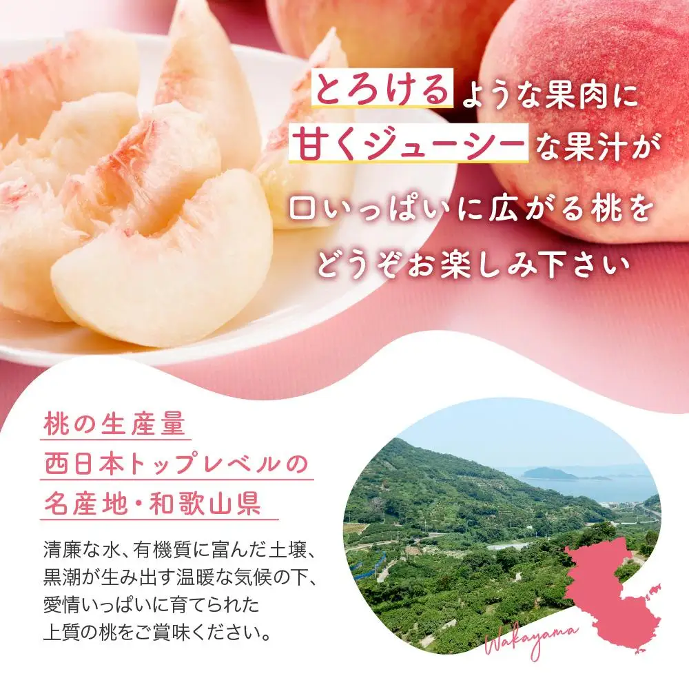 ［農園直送］朝採れ和歌山の桃　約2kg・秀品★2027年6月下旬頃～8月上旬頃順次発送★［TM167］
