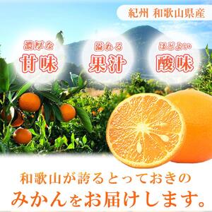 初夏のみかん なつみ 5kg［先行予約］［2027年4月中旬より発送］［UT57］