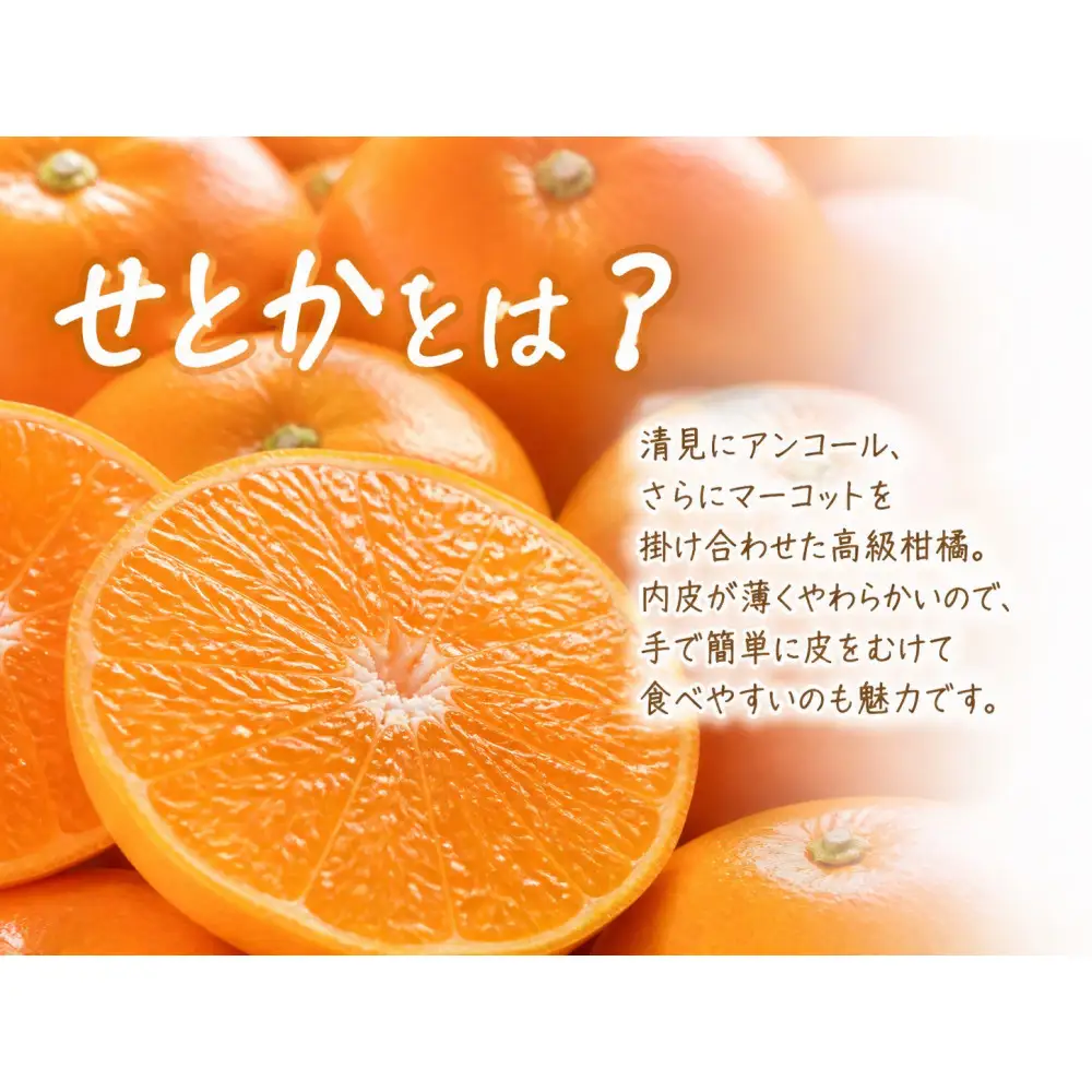 紀州有田産せとか約2.5kg　とろける食感！ジューシー柑橘［2027年2月上旬～2月下旬頃に順次発送］［先行予約］［UT02］