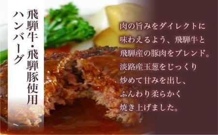 飛騨牛・飛騨豚使用 ハンバーグ 8個セット（デミグラスソース付） CQ008VC13 ハンバーグ