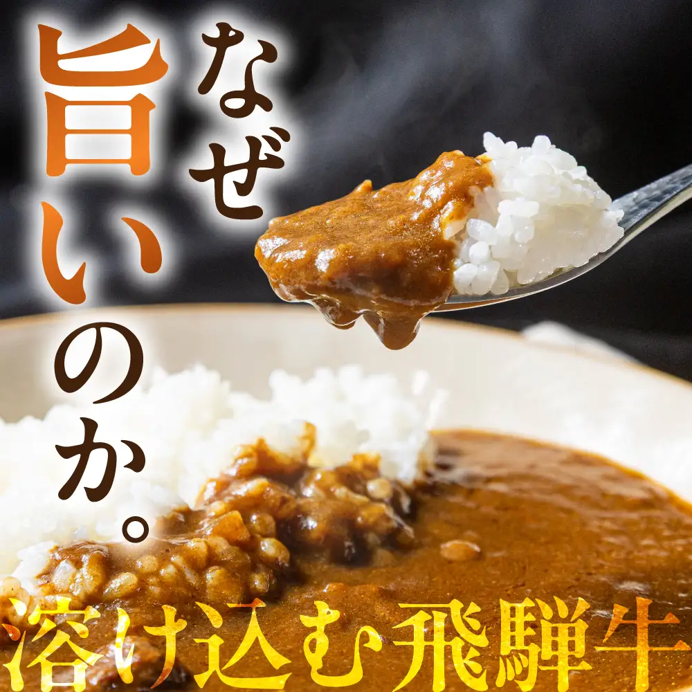 飛騨牛カレー（160ｇ×25袋） | 訳あり ご当地 ビーフカレー レトルト 人気 飛騨高山 DC008VC13
