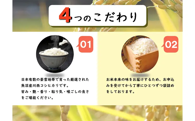 【定期便／全12回】無洗米 魚沼産こしひかり1合×10袋