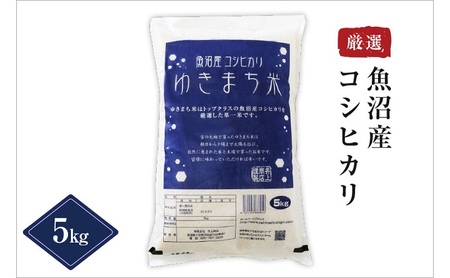 【定期便／12ヶ月】ゆきまち米5kg 極上魚沼産コシヒカリ お米 こしひかり 魚沼産こしひかり