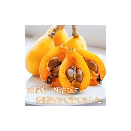 【 期間限定 】びわ 6 ~8個 4 パック 約 1.2kg びわ びわ びわ びわ YN007-2x