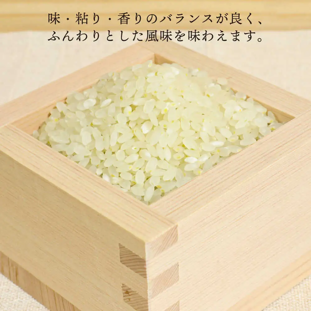 糸島産 ヒノヒカリ 5kg 糸島市 / 糸島王丸農園　( 谷口汰一 )【いとしまごころ】 [AAZ010]
