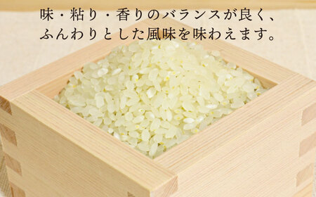 【全3回定期便】糸島産 ヒノヒカリ 5kg×3回 　糸島市 / 糸島王丸農園 ( 谷口汰一 )【いとしまごころ】 [AAZ011]