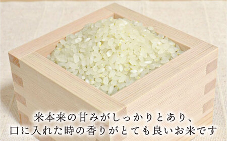 糸島産 ヒノヒカリ 10kg  糸島市 / 糸島王丸農園 ( 谷口汰一 )【いとしまごころ】 [AAZ014]