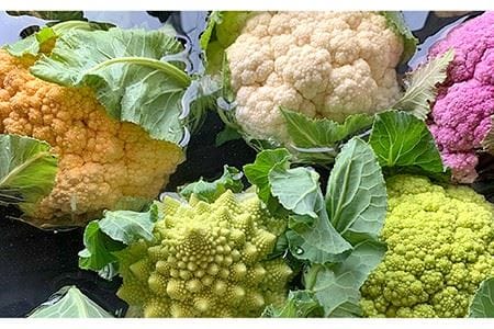 糸島産 季節 の 野菜 詰め合わせ （ おまかせ 10品 以上 ）《糸島》【ひめしま渡船直売所】 [ANJ001]