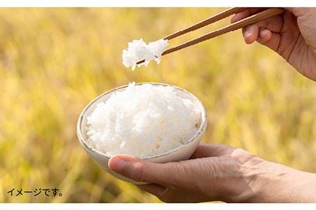 【 6回 定期便 】 糸島 で 農薬 を使わずに育てた 山つき 糸島米 3kg （ 夢つくし ）《 糸島 》【株式会社やました】 [ARJ011]
