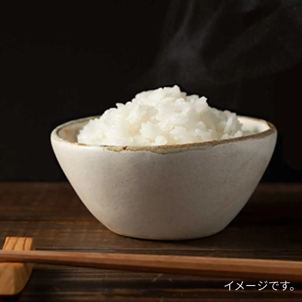 【お中元対象】糸島 で 農薬 を使わずに育てた 山つき 糸島米 5kg （ 夢つくし ）《 糸島 》【株式会社やました】 [ARJ014]