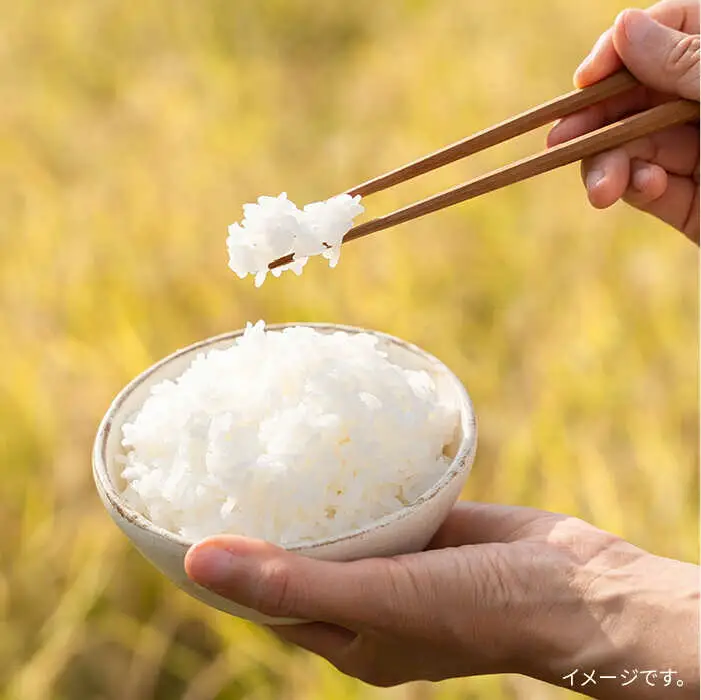 【お中元対象】糸島 で 農薬 を使わずに育てた 山つき 糸島米 5kg （ コシヒカリ ）《 糸島 》【株式会社やました】 [ARJ015]