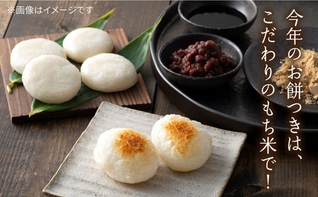 ＼令和6年産／ 糸島産 餅米 5kg 自然栽培 天日干し 糸島市 / 大石ファーム[ATE005]