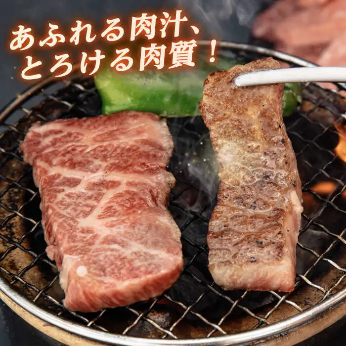 【 全12回 定期便 】博多和牛 厚切り カルビ 1kg ( 500g × 2P ) 糸島 【幸栄物産】 [ABH040]